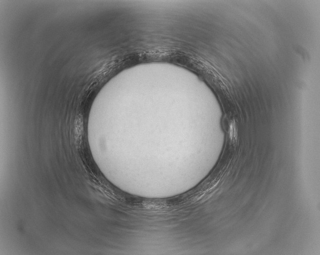 X0000115651299200912081116