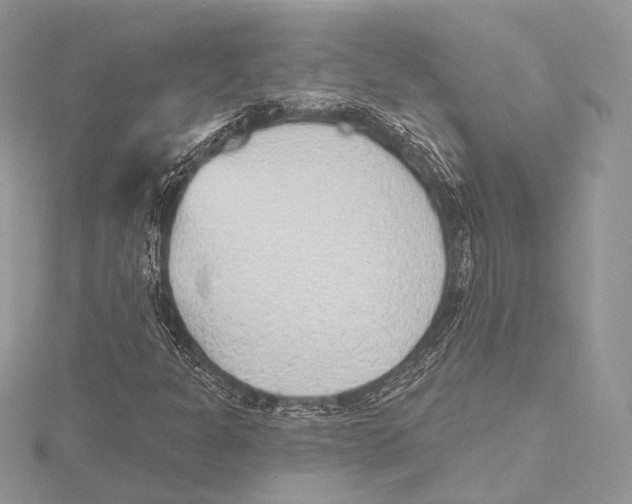 X0000115651301200912081117