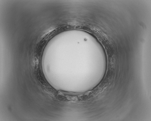 X0000115651302200912081117