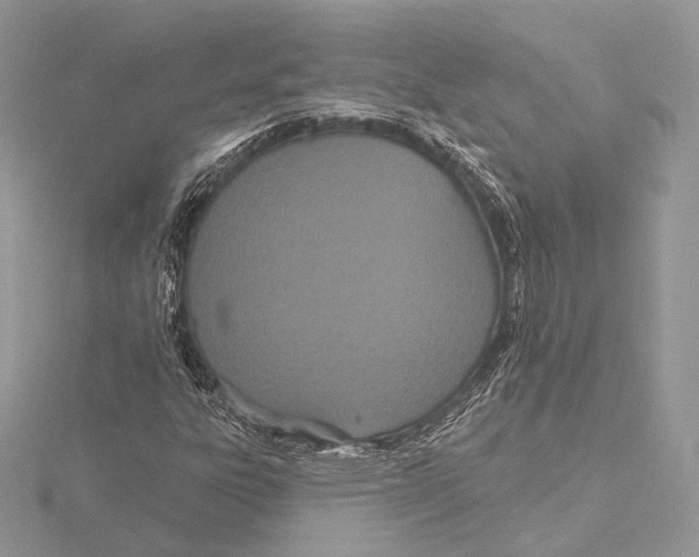 X0000115651303200912081117