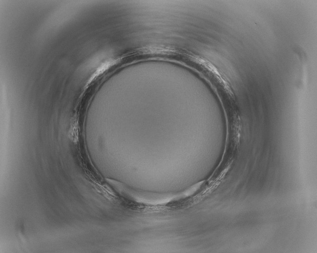 X0000115651306200912081117