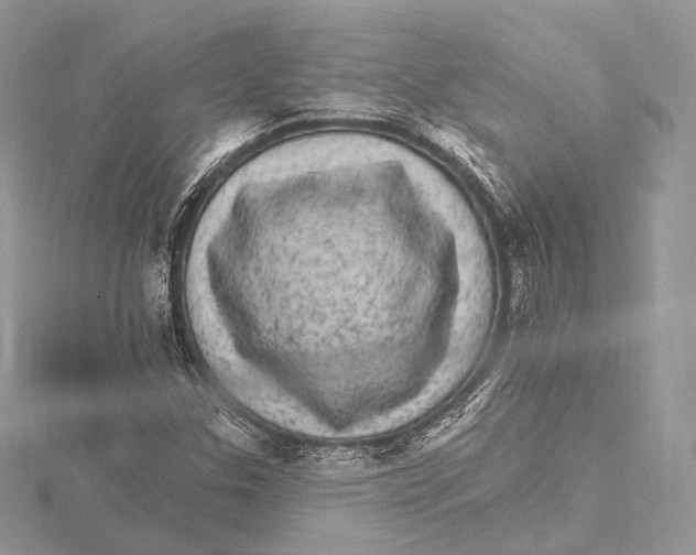 X0000115651307200912081117