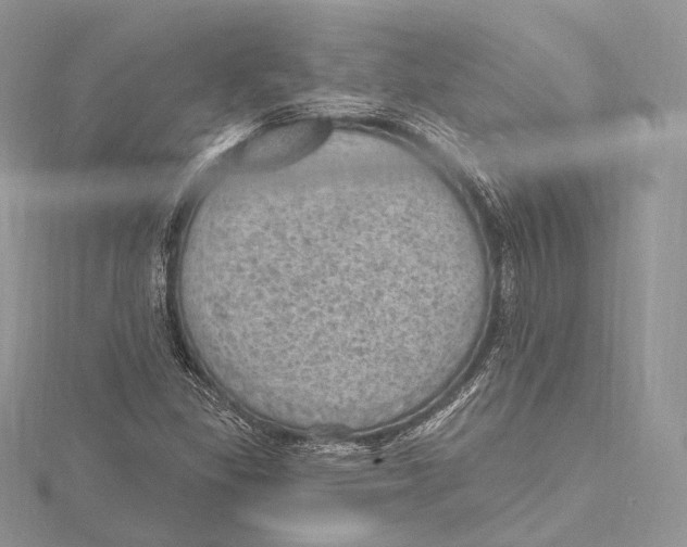 X0000115651309200912081117