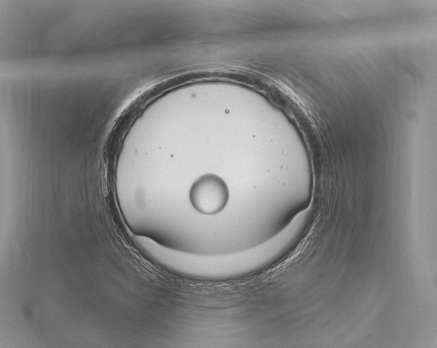 X0000115651310200912081117