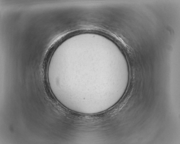 X0000115651311200912081117