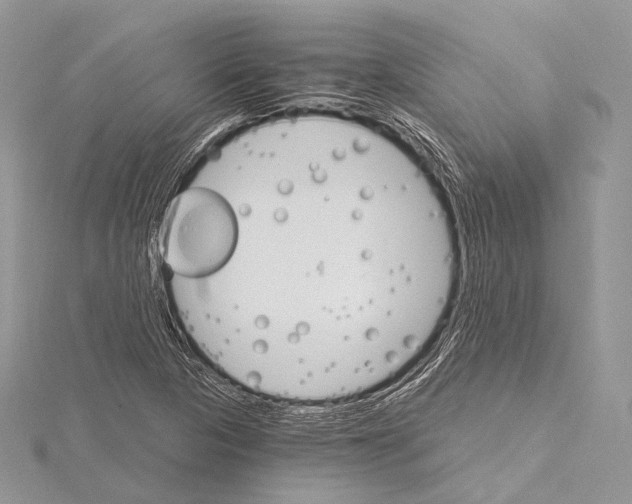 X0000115651313200912081117