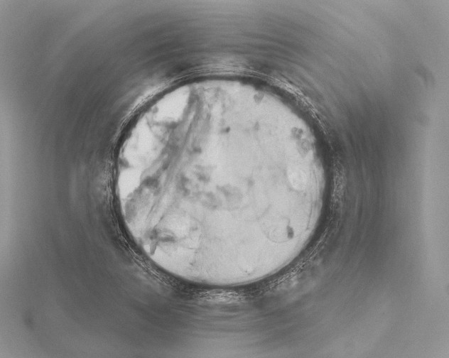 X0000115651314200912081117