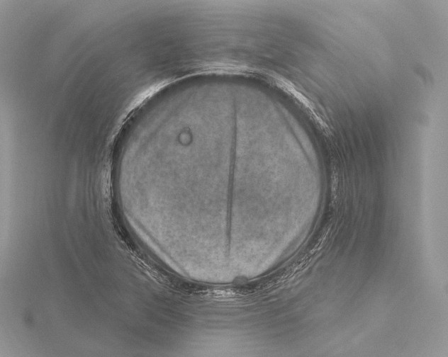 X0000115651315200912081117