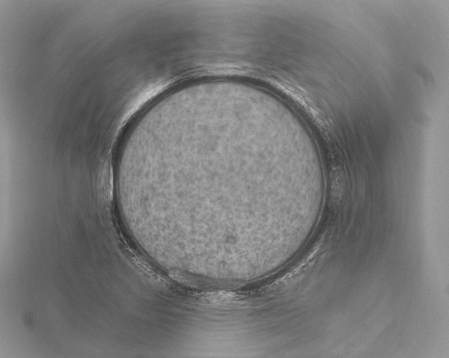 X0000115651317200912081117