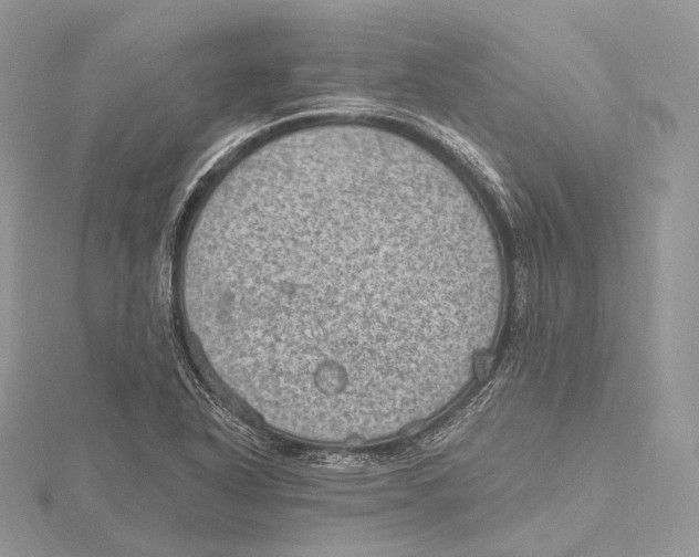 X0000115651318200912081117