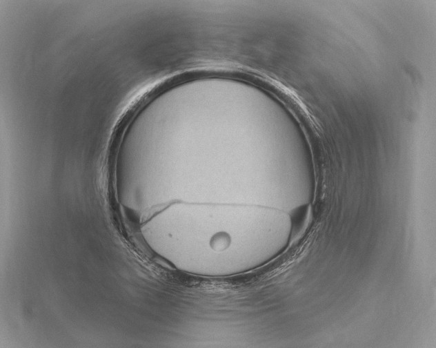 X0000115651319200912081117