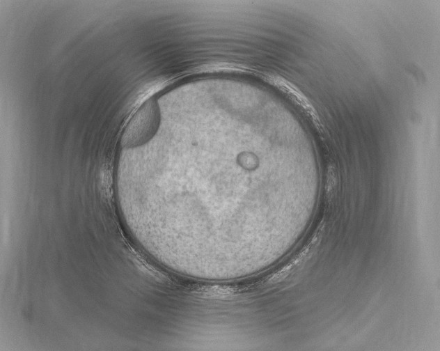 X0000115651321200912081117