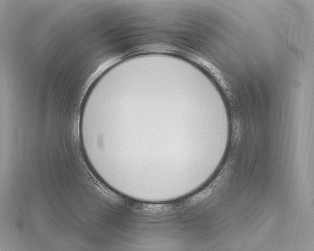 X0000115651322200912081117