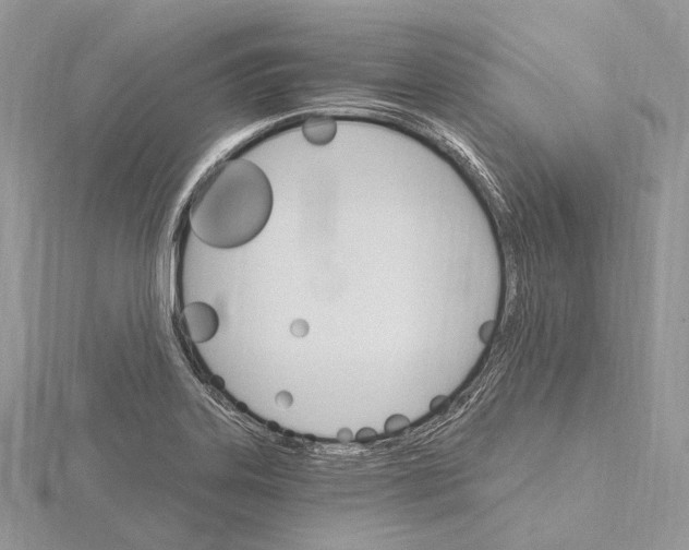 X0000115651323200912081117