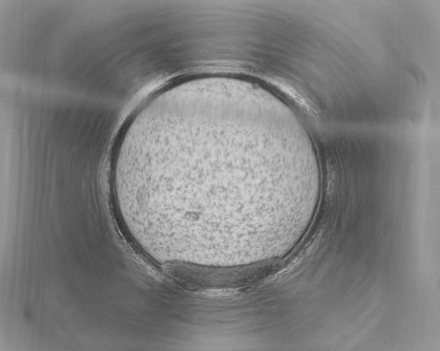 X0000115651325200912081117