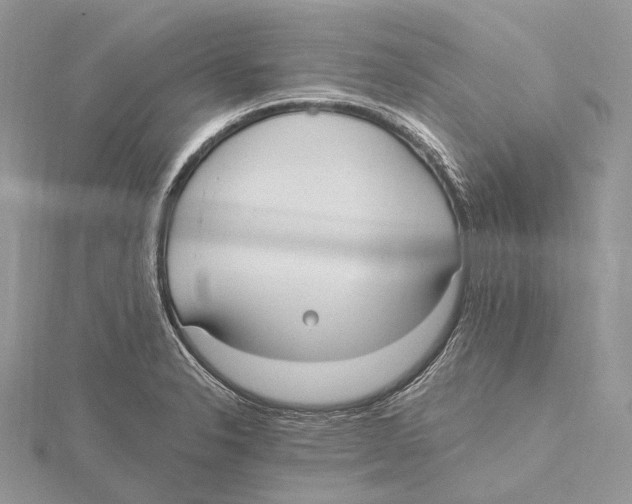 X0000115651326200912081117