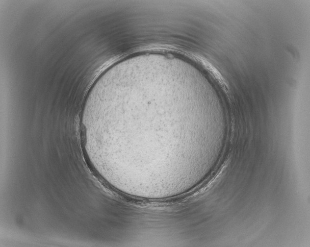 X0000115651329200912081117