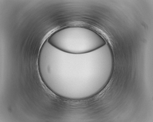 X0000115651330200912081117