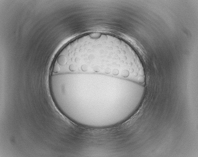 X0000115651331200912081117