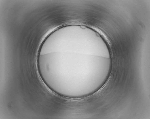 X0000115651333200912081117