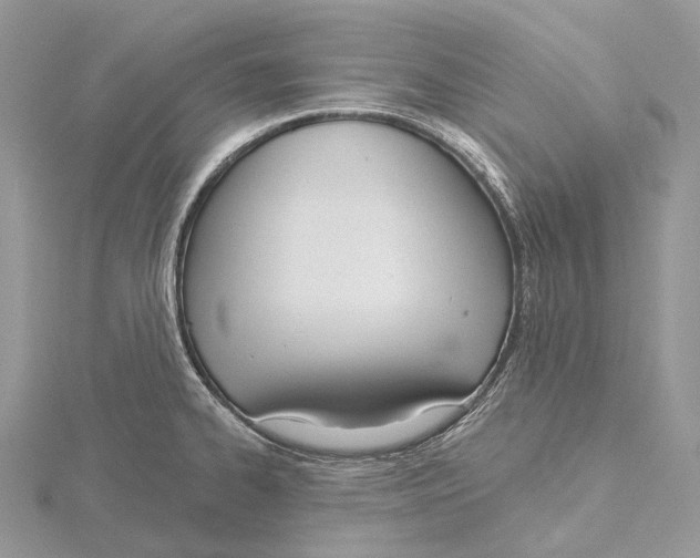 X0000115651334200912081117