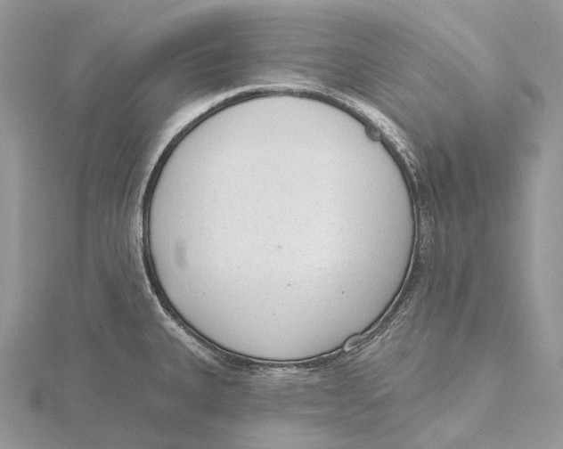 X0000115651335200912081117