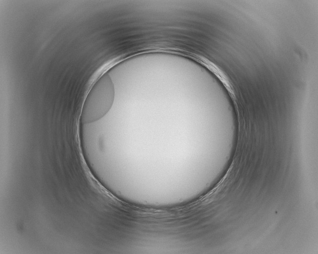 X0000115651338200912081117