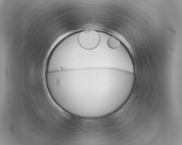 X0000115651339200912081117