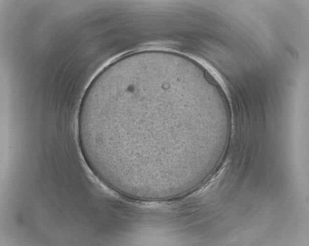 X0000115651341200912081117