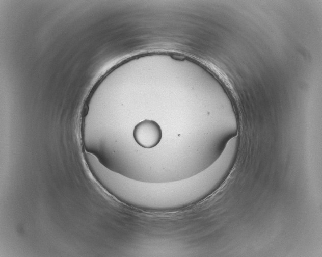 X0000115651342200912081117