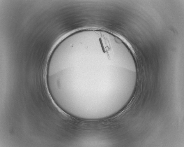 X0000115651343200912081117