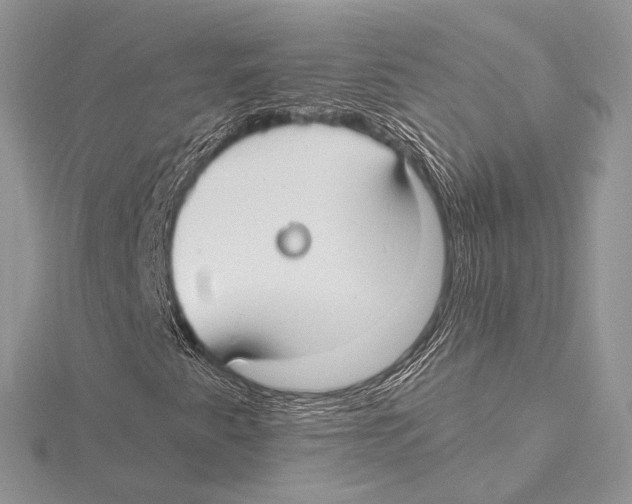 X0000115651345200912081116