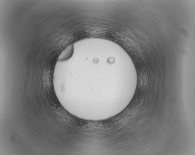 X0000115651346200912081116