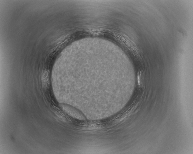 X0000115651347200912081116