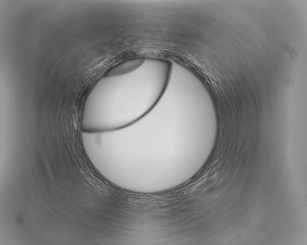 X0000115651348200912081116