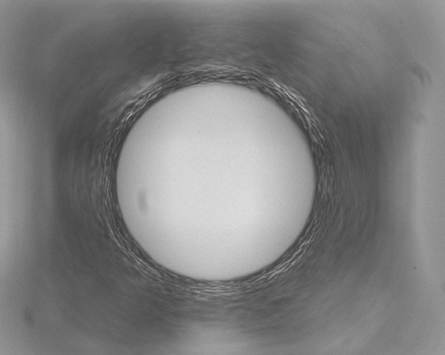 X0000115651349200912081116