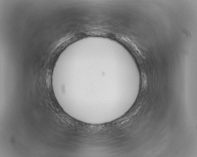 X0000115651350200912081116