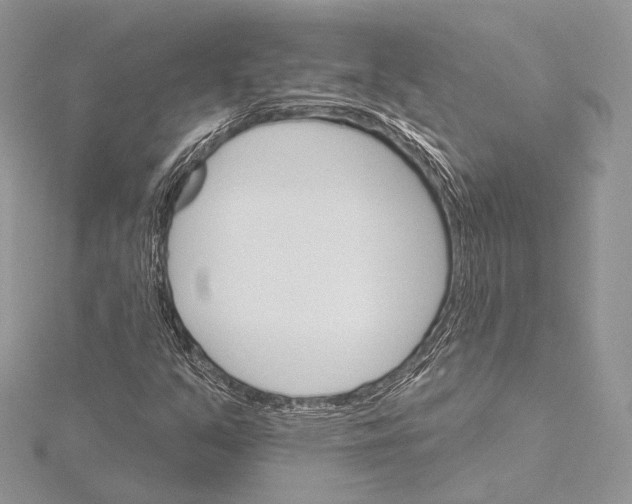 X0000115651351200912081116