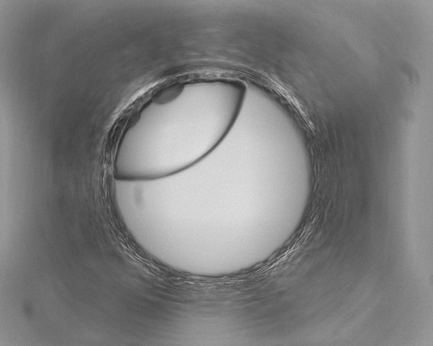 X0000115651352200912081116