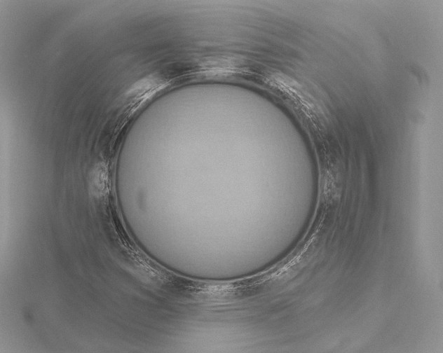 X0000115651353200912081116