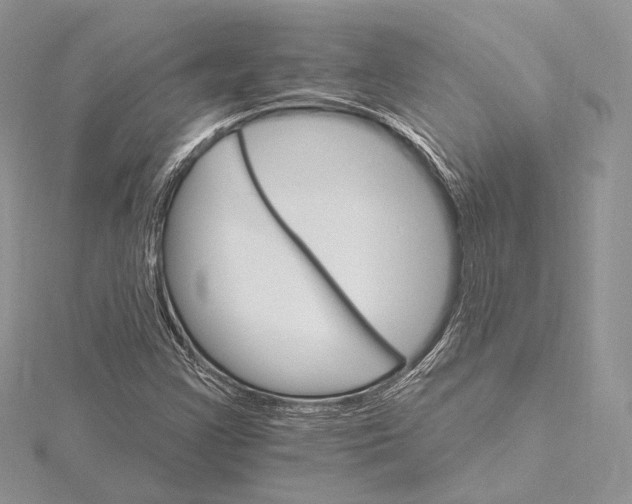 X0000115651355200912081116