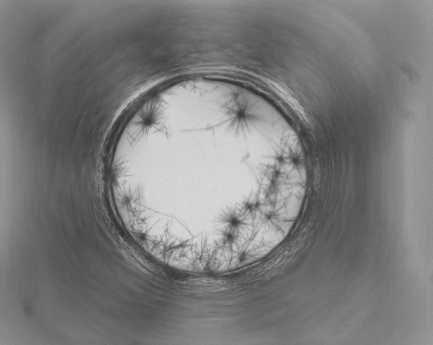 X0000115651356200912081116