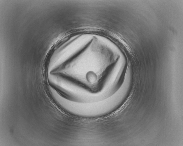 X0000115651357200912081116