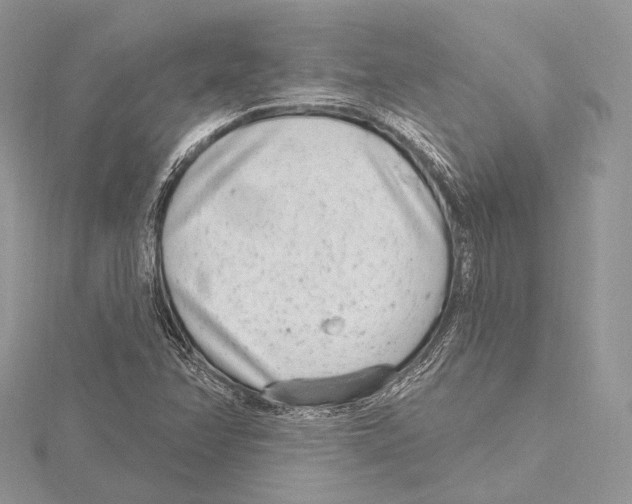 X0000115651358200912081116