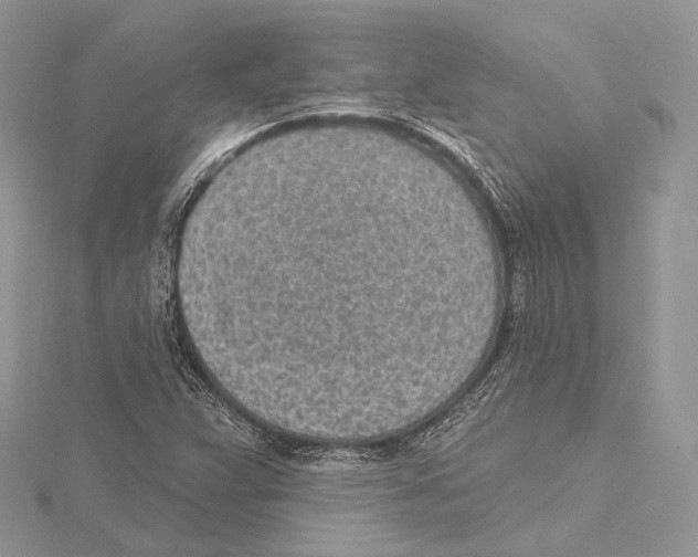 X0000115651359200912081116