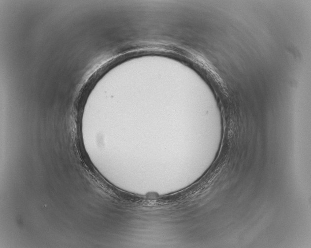 X0000115651360200912081116