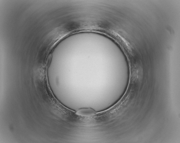 X0000115651361200912081116