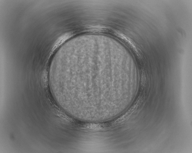 X0000115651362200912081116