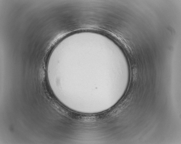 X0000115651363200912081116