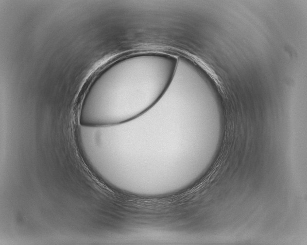 X0000115651364200912081116